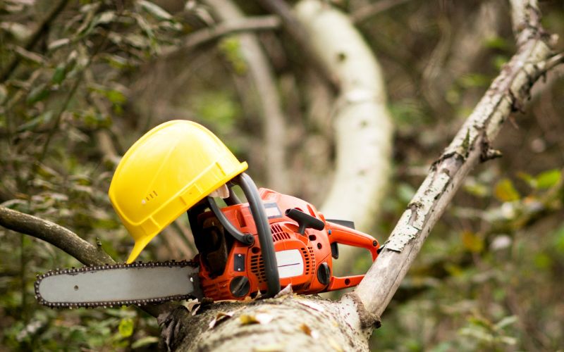 chainsaw-and-safety-helmet